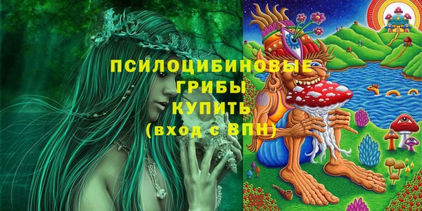 меф Новозыбков