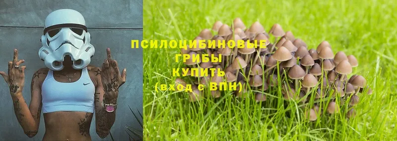 Галлюциногенные грибы Magic Shrooms Харовск